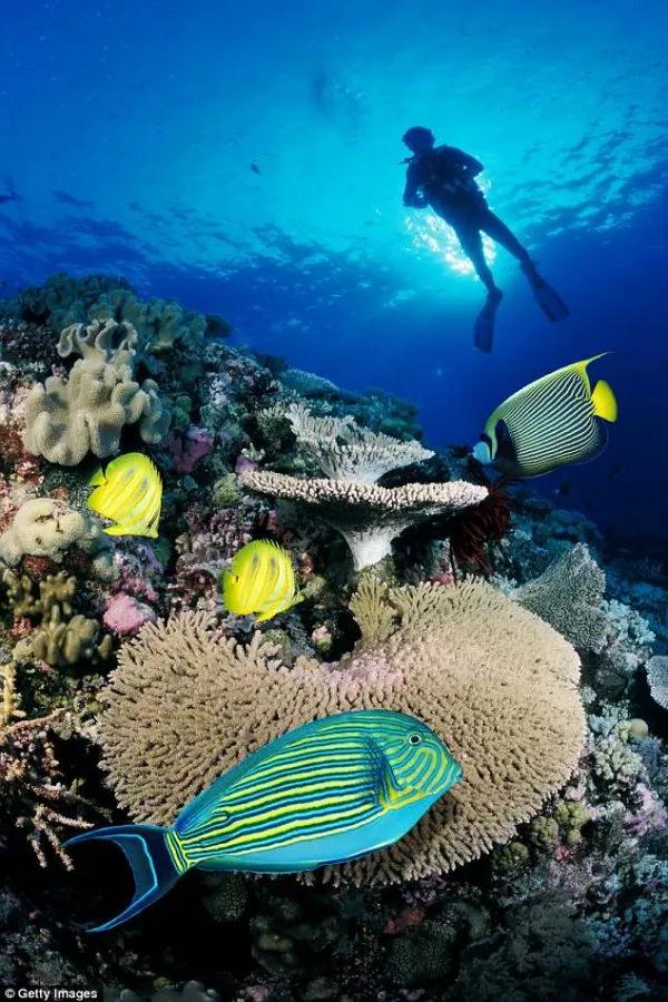 微信图片_20180509134116