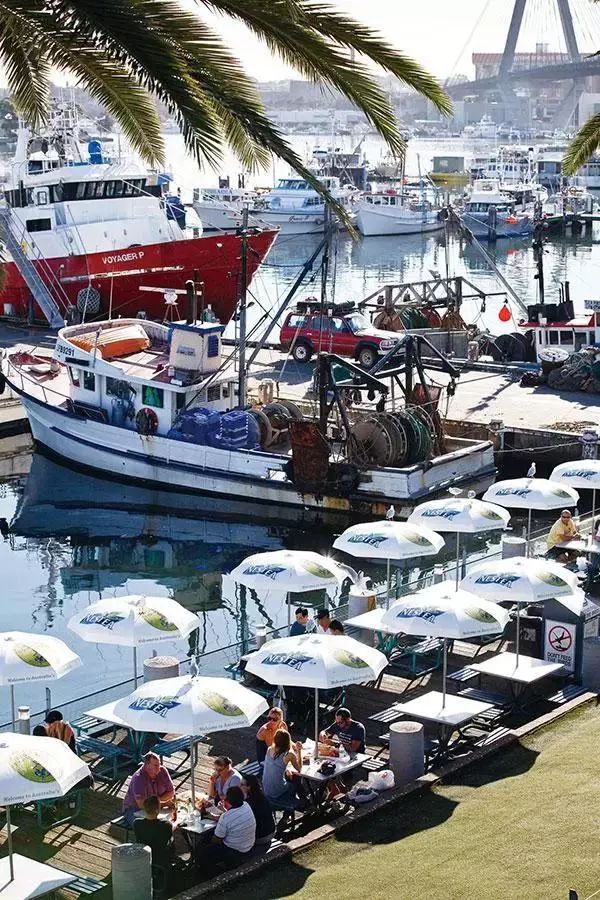 悉尼渔人码头今年将迎亿元规模改造!不少投资人已瞄准商机!