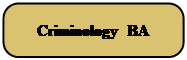 圆角矩形: Criminology BA 