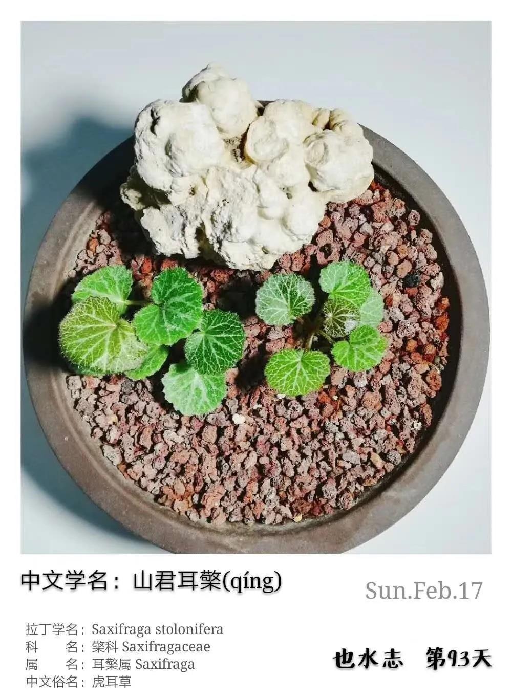 水木社区
