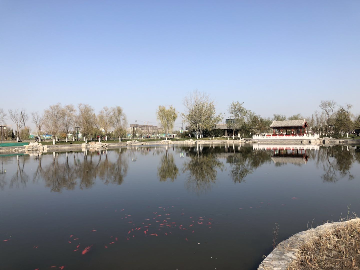 這兩天天氣真不錯,出去溜了一圈 - 通州 - tongzhou - 水木社區