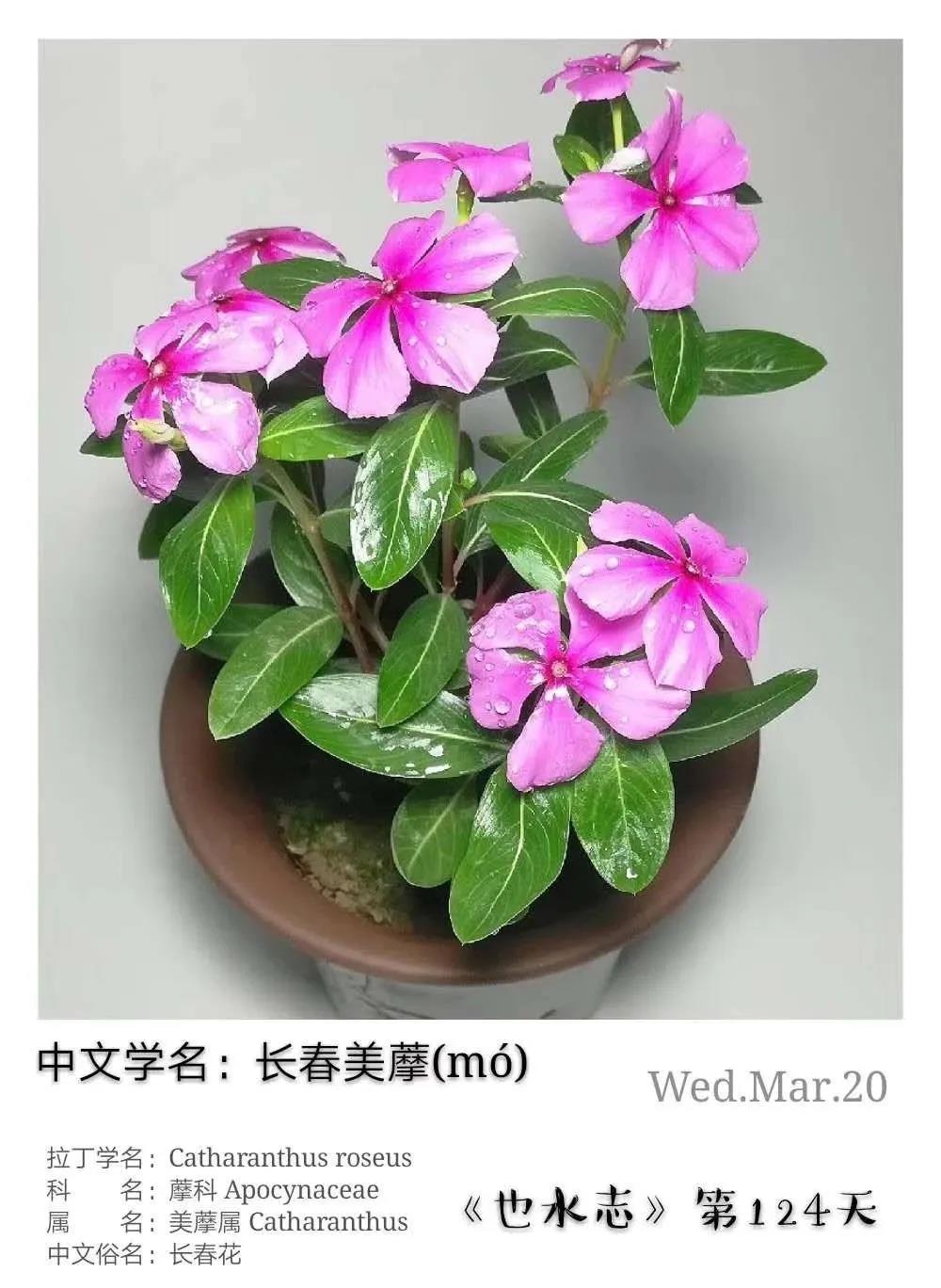 水木社区