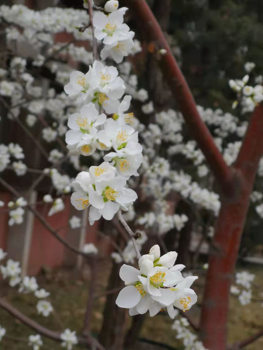 水木社区