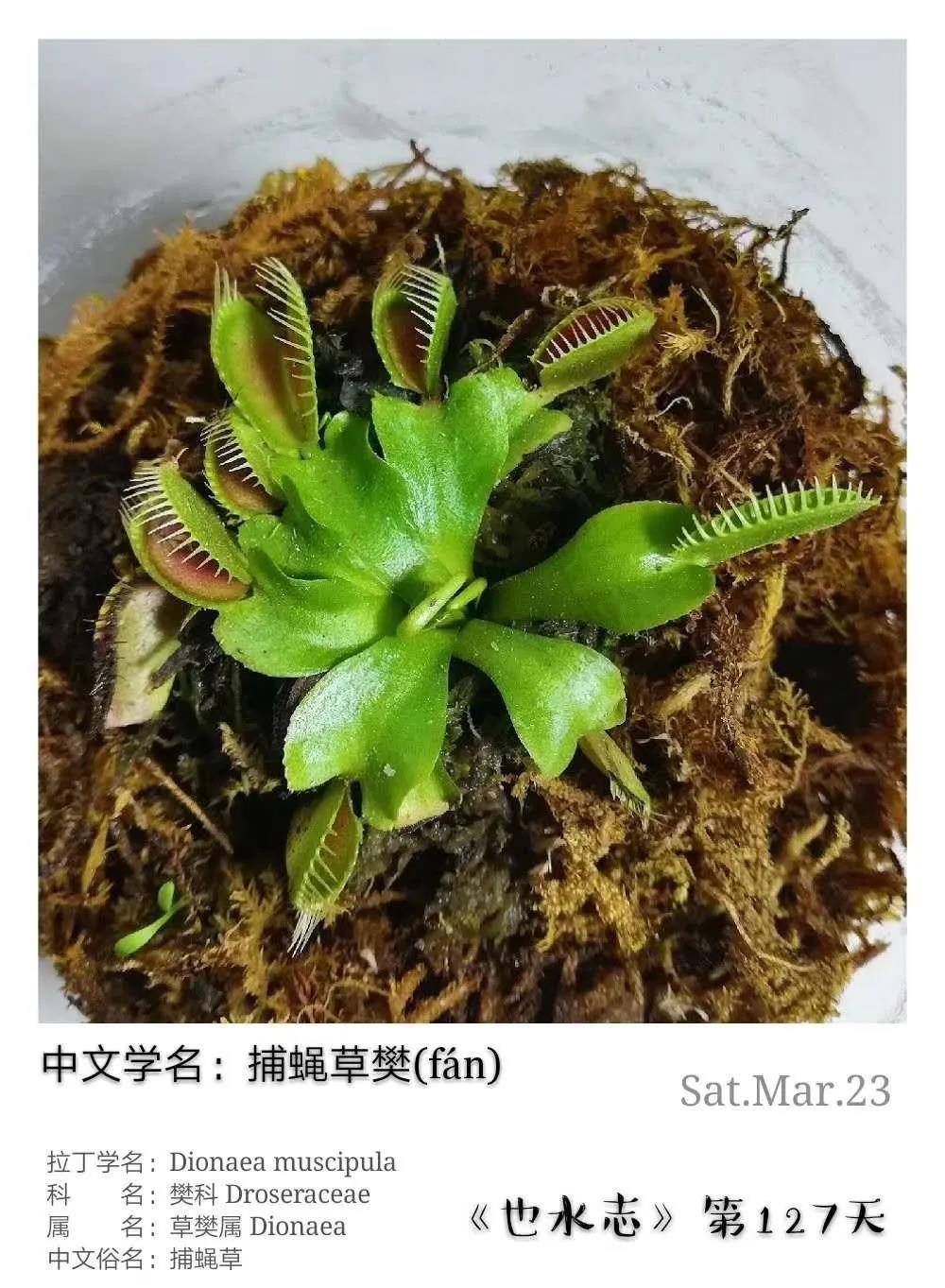 水木社区