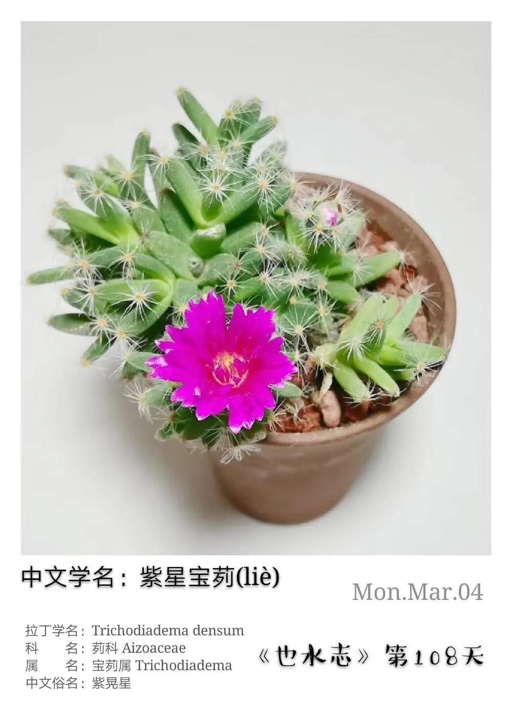 水木社区
