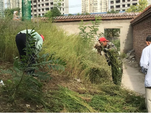 朝阳未诉先办解民忧——接诉即办系列之向前一步