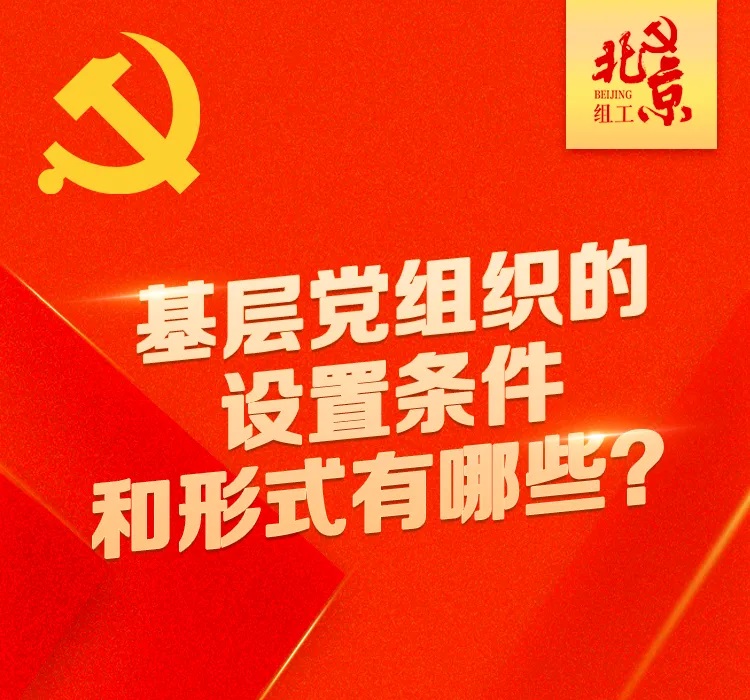 党的基层组织应当如何设置？