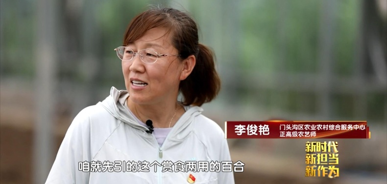 脚下有泥，心中有光