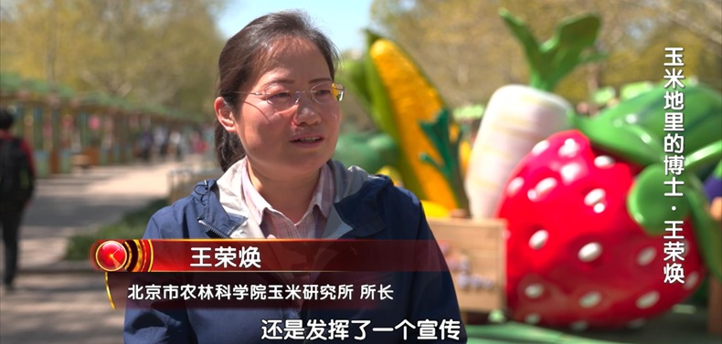 青春主场 玉米地里的博士——王荣焕